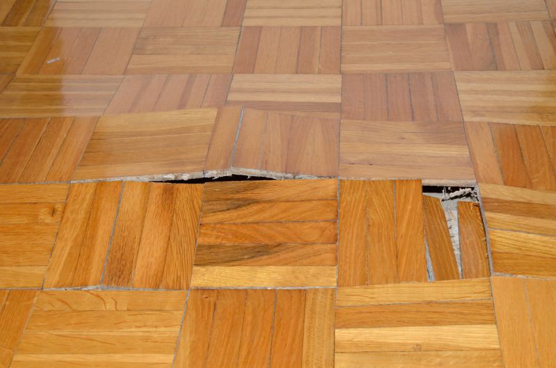 Floorboard Creak Repair